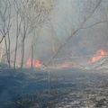 brush fire april 16 2008 015